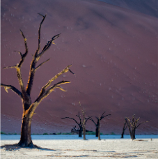 Deadvlei-122-v2012_Site1400x1000