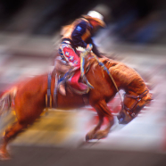 Canada 0297 Rodeo2 v1_Site1200x600