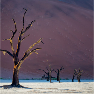 Deadvlei 122 v2012_Site1200x600