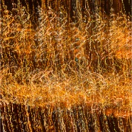 700_3569_Site1400x1000