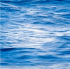 700_7147_Site1200x600