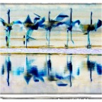 Flamingos1_v8_Site1200x600