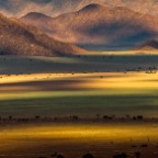 Tolous_205_v0_Site1200x600
