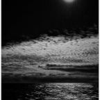 700_3289-1_Site1200x600