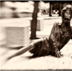 _7008663-1_Site1200x600
