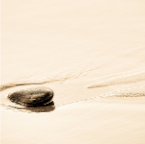 700_1339-2_Site1200x600