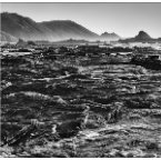 _7004998-8_Site1200x600