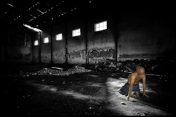 recentes . new images